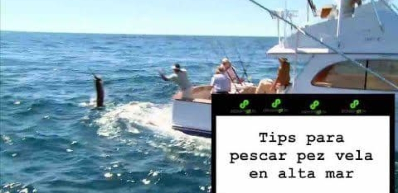 Tips para pescar vela