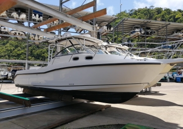 Boston Whaler 305